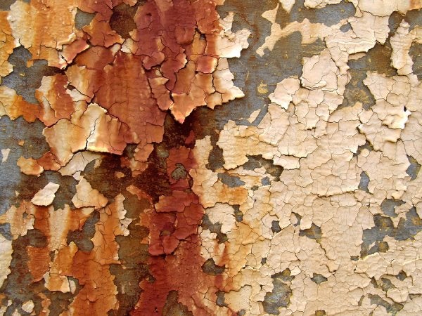 Testing for Dangers of Lead Exposure by Excel Industrial Group in Houston, TX